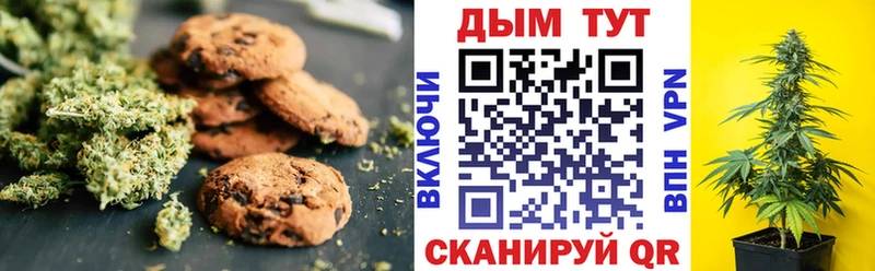 где найти   Коряжма  дарк нет наркотические препараты  Cannafood конопля 