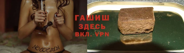 стафф Арсеньев