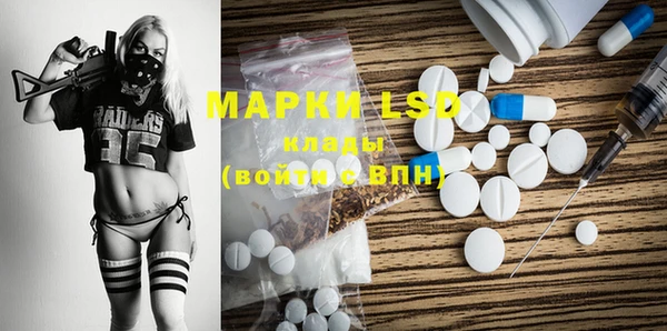 стафф Арсеньев