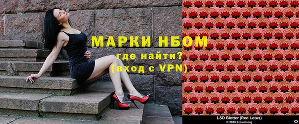 стафф Арсеньев