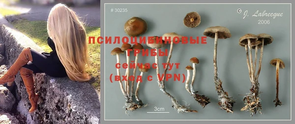 стафф Арсеньев